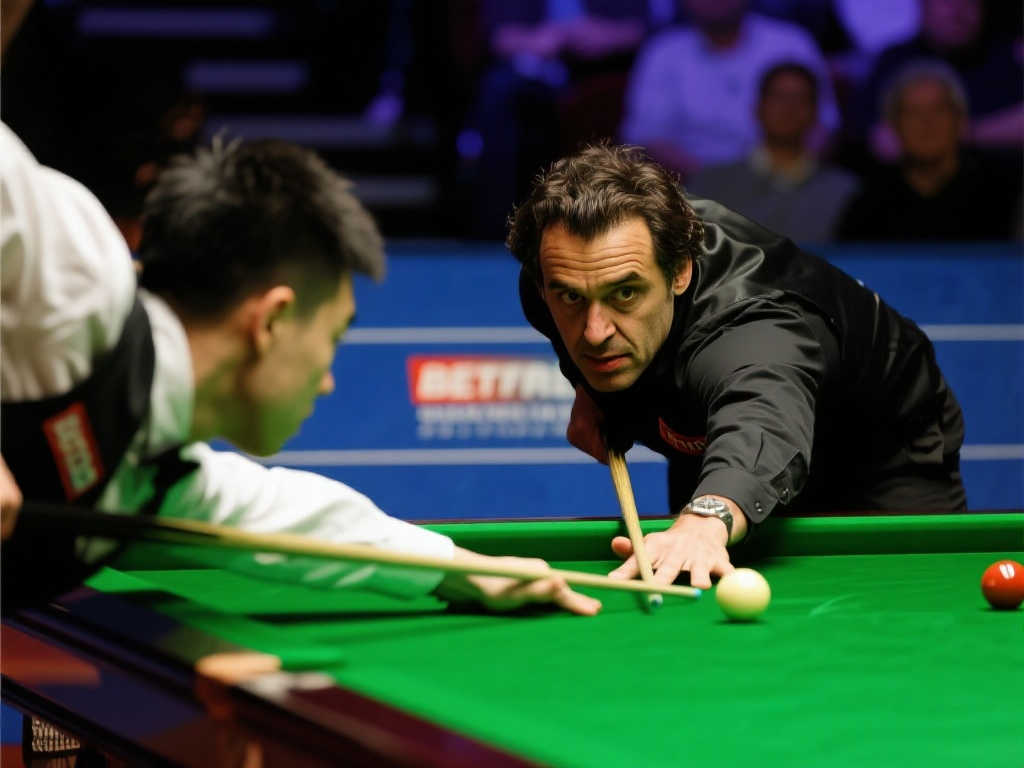 更加努力寻 更加努力寻