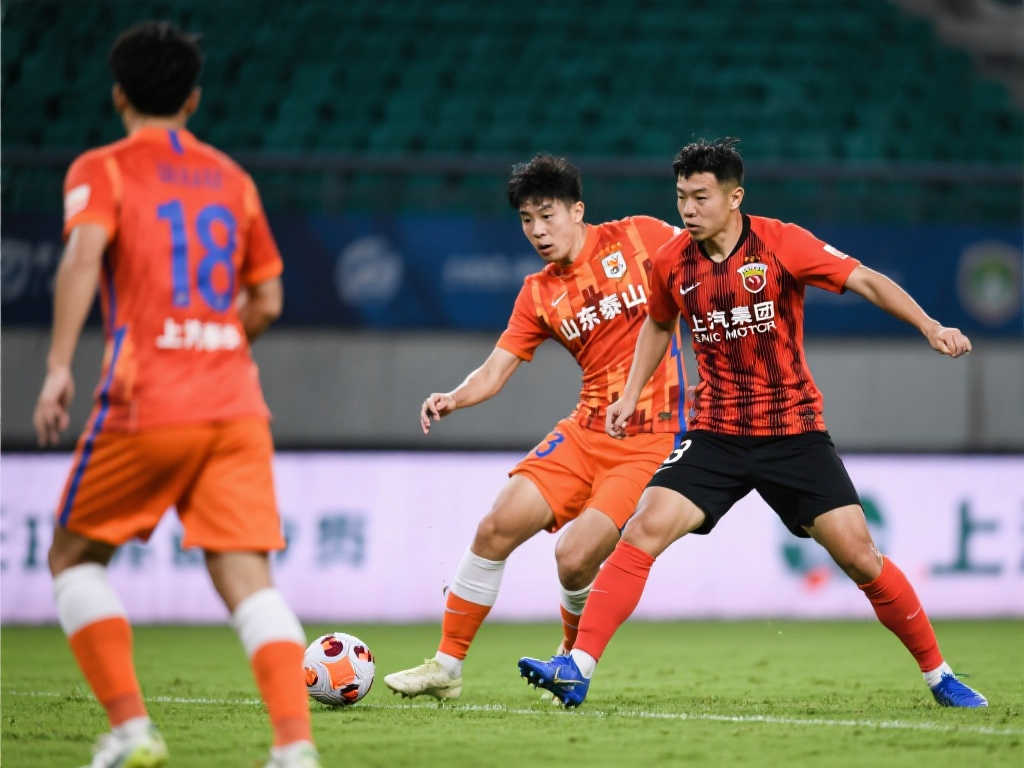 的表现呈现 的表现呈现