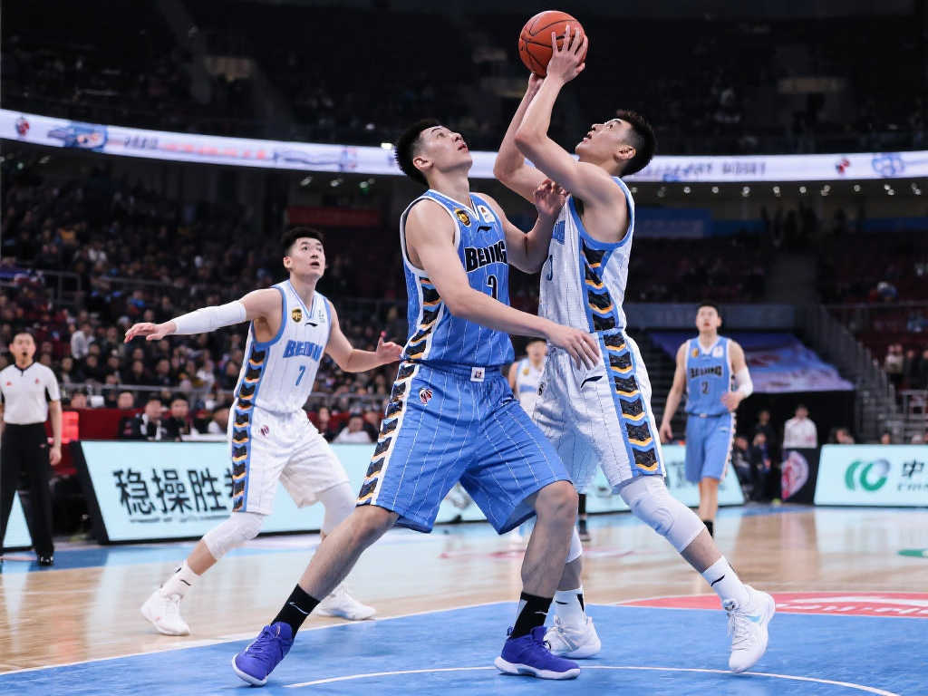 从球场上的 从球场上的